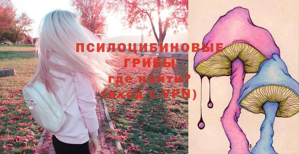 гидропоника Навашино